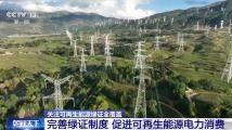 国产精区,引领科技潮流，打造民族品牌新高度